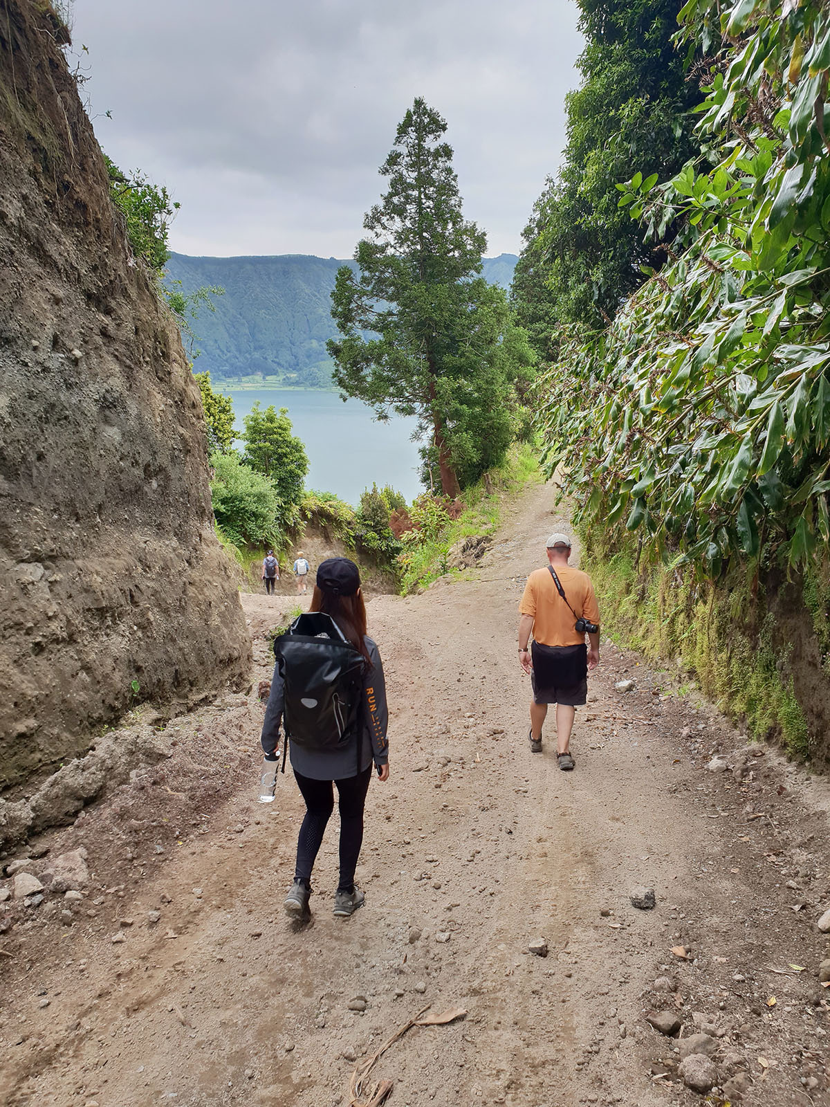 Azores: Walk and Work with Wood