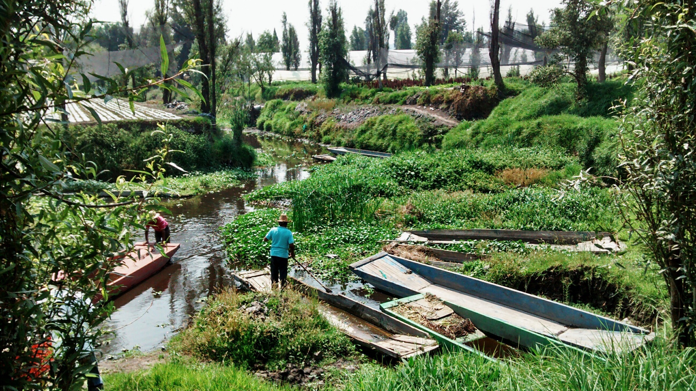 Mexico: Knowledge from the Land