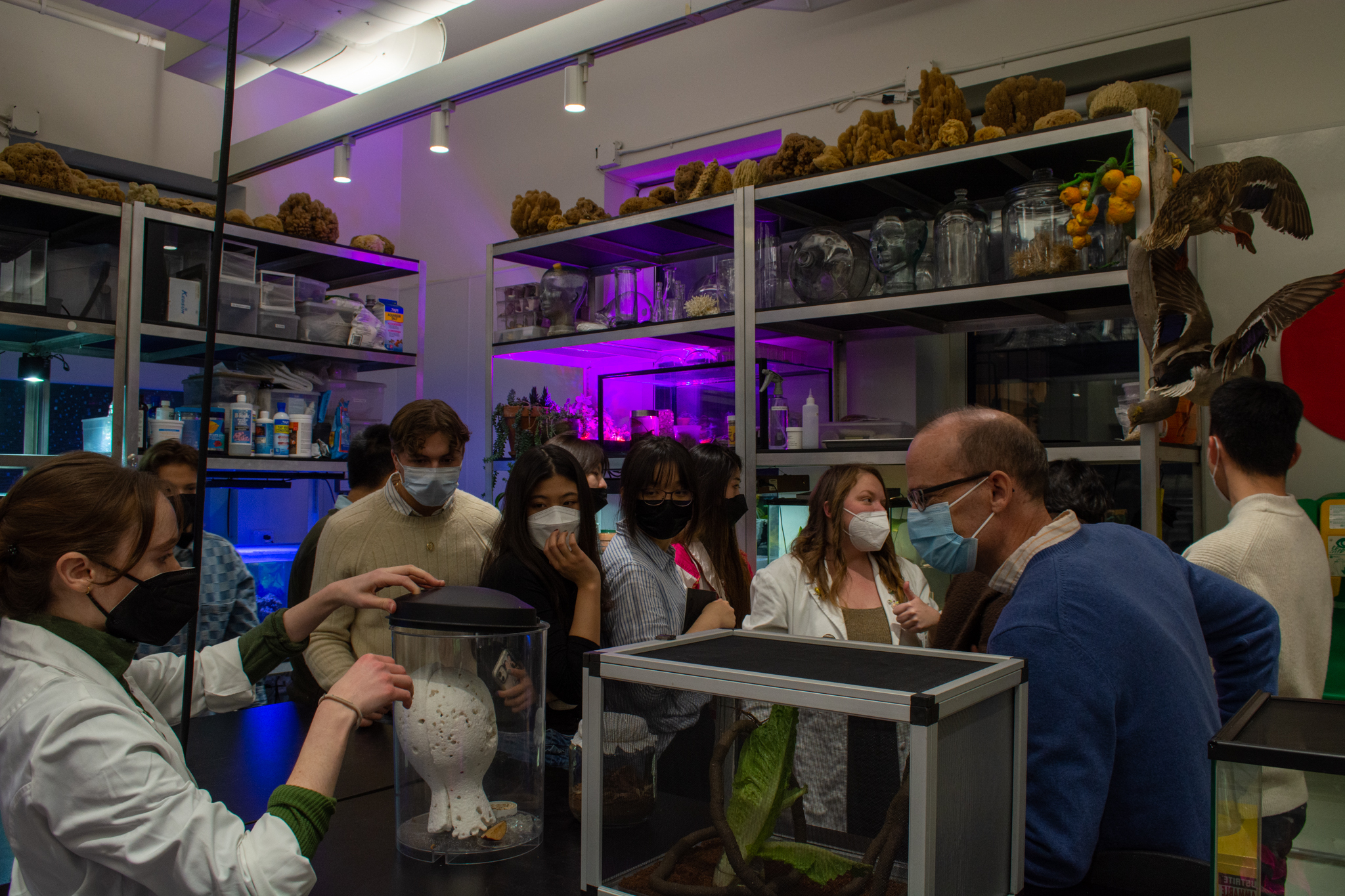 New York: BioDesign NYC